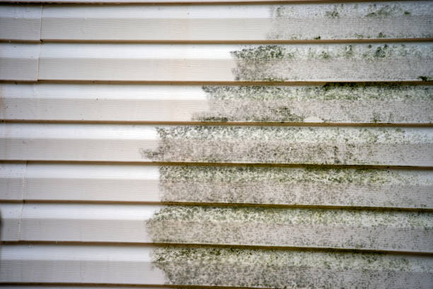 Affordable Siding Repair and Maintenance Services in Woodsboro, TX