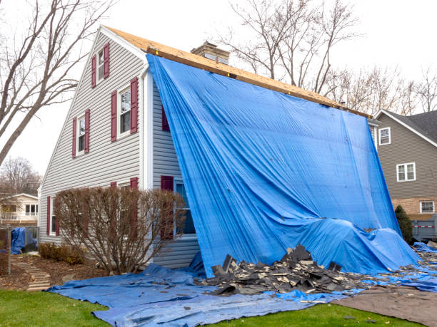 Professional Siding Installation in Woodsboro, TX